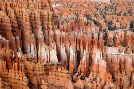 Bryce Hoodoos