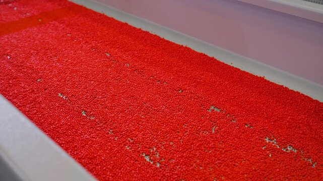 Plastic recycling machine: red propylene or polyethylene pellets, recycled plastic granules on vibrating shale shaker, conveyor belt: close up. Sustainable, waste reduction, and separation concept