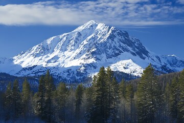 Obraz premium Snow capped mountain peak with pine trees in the foreground and blue sky. A breathtaking view of the natural beauty of mountains