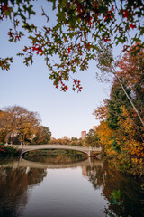 Central Park New York in fall season