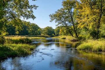 Serene River Flowing Through Lush Green Forest