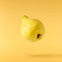 Fresh ripe yellow Quince fruit  falling in the air isolated on yellow background. Food levitation...