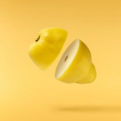 Fresh ripe yellow Quince fruit  falling in the air isolated on yellow background. Food levitation...