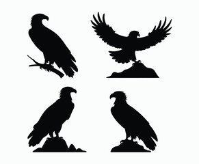 Obraz premium Bald eagle silhouette EPS vector isolated illustration and icon template on a white background