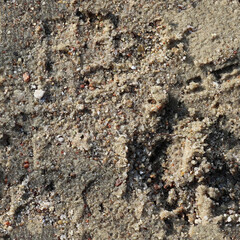 Seamless texture a sand surface with small stones perfect for rendering surfaces.