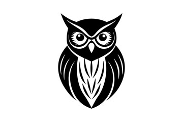 owl on white background