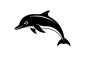 Fototapeta premium dolphin isolated on white