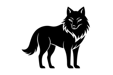 wolf isolated on white background