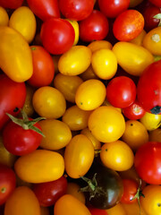 I colori della terra