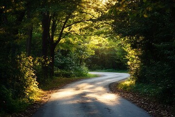 Obraz premium Sunlight shining through trees on a winding forest path