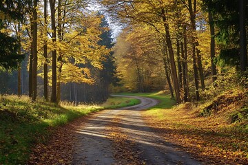 Obraz premium Winding forest road in fall with sunlight shining through leaves.