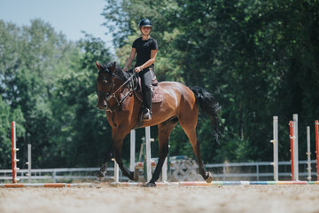 Equestrian rider practicing show jumping, riding a horse in an outdoor arena on a sunny day with green trees in the background.