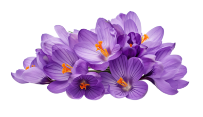A bunch of purple flowers with orange centers