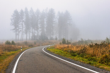 Straße durch Wald mit Nebel
