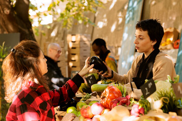 Vendor woman talking to female customer and selling fresh locally grown produce at farmers market stand. Seller helping client to choose veggies, explaining health benefits of organic food.