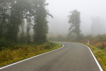 Naklejka premium Straße durch Wald mit Nebel