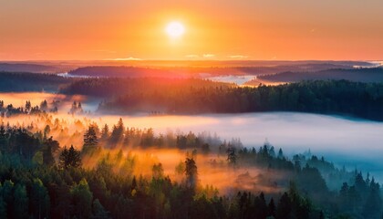 Fototapeta premium Amazing Sunrise Over Misty Landscape. Scenic View Of Foggy Morning Sky With Rising Sun Above Misty Forest. Middle Summer Nature Of Europe
