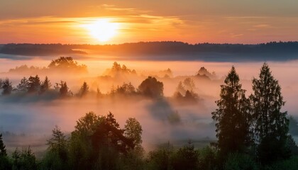 Fototapeta premium Amazing Sunrise Over Misty Landscape. Scenic View Of Foggy Morning Sky With Rising Sun Above Misty Forest. Middle Summer Nature Of Europe