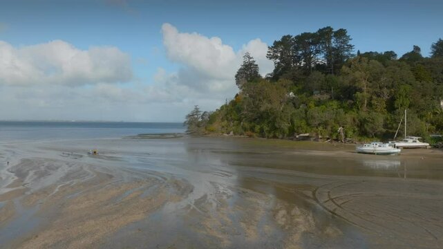 Low tide mudflats in the Manukau Harbour in the Waitakeres. Laingholm, Auckland, New Zealand.