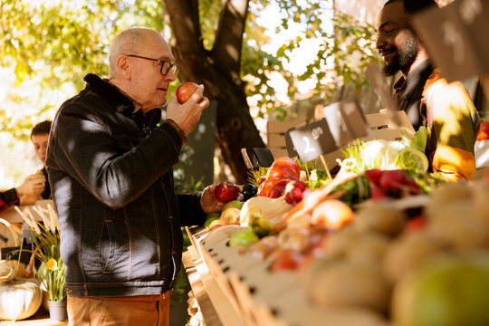 An elderly client smells bio apples and stands near farmers food market stand filled with fresh pesticide-free fruits and vegetables. Senior old man purchases organic produce grown locally.
