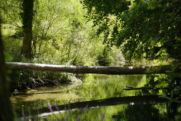 España Rural 