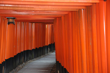 Fototapeta premium 鳥居のある参道