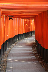 鳥居が立ち並ぶ参道