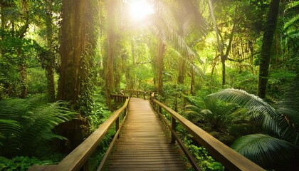 Obraz premium High quality photo. Wooden pathway through lush green tropical jungle with sunlight, serene 