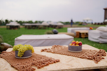 Outdoor picnic setup with grapes and plums on a wooden table.