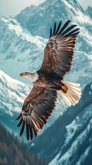 A majestic bald eagle soars through the sky with its wings fully outstretched. The background features a stunning view of rugged, snow-capped mountains under the clear sky. The eagle's detailed plumag