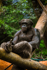 Sao Paulo Zoo