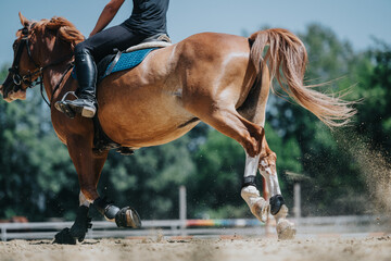 Close-up shot of a person riding a horse in a sandy arena, depicting motion and outdoor equestrian...
