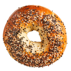 Everything bagel isolated on transparent or white background