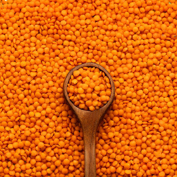 Raw red lentils on the spoon - Lens culinaris.