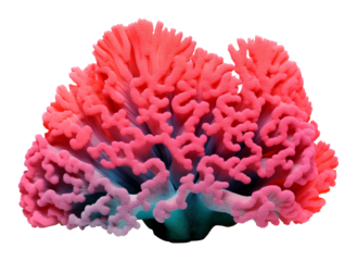 Coral Reef Isolated on Transparent Background PNG
