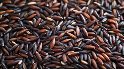 Detailed View of Wild Rice Grains