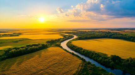 Naklejka premium Aerial view of a vast farmland with golden wheat fields and a river cutting through