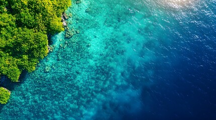 Obraz premium Aerial view of a coral reef in crystal-clear turquoise waters