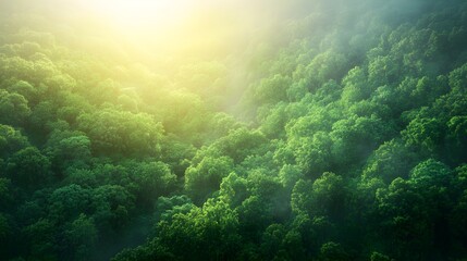 Obraz premium Majestic rainforest from above, vibrant green treetops with subtle glimpses of hidden streams, animals peeking through shadows, glowing sunlight, watercolor style