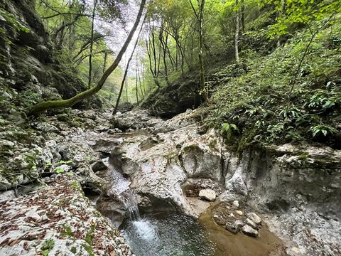 The Doblarec Gorge or Perilo Gorge, Rocinj (Slovenia) - Schlucht des Baches Doblarec (Slowenien) - Kanjon potoka Doblarec, Soteska Doblarec ali soteska Doblarca, Ročinj (Slovenija)