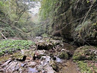 The Doblarec Gorge or Perilo Gorge, Rocinj (Slovenia) - Schlucht des Baches Doblarec (Slowenien) - Kanjon potoka Doblarec, Soteska Doblarec ali soteska Doblarca, Ročinj (Slovenija)