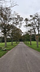 A long alley in the park