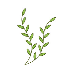Minimalist design of two branches with leaves with transparent background