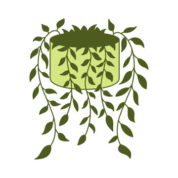 green potted plant with hanging vines clip art preview