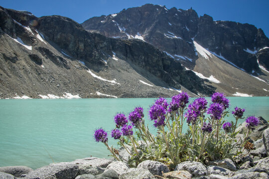On the bank of Wedgemount lake, BC