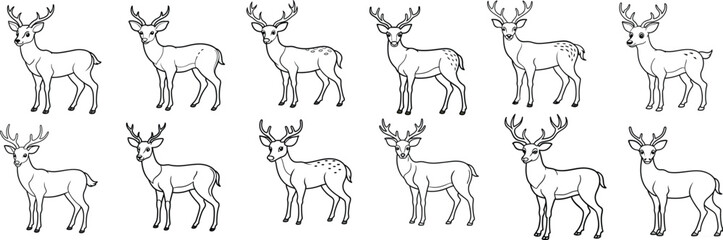 seamless pattern with deer