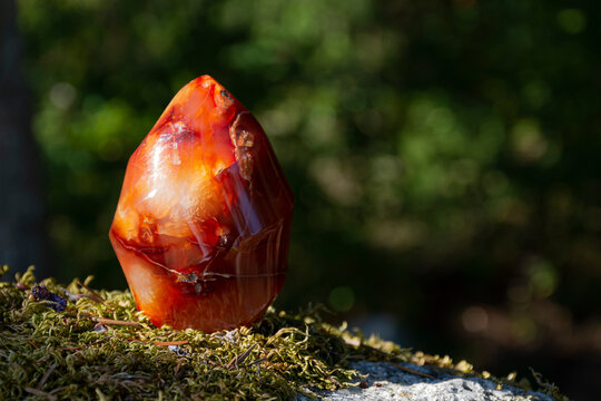 A close up image of a carnelian crystal flame tower glittering in the afternoon sunlight with dark green nature background. 