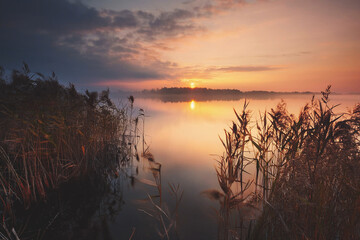 Golden sunrise reflecting on lake with reeds in foreground