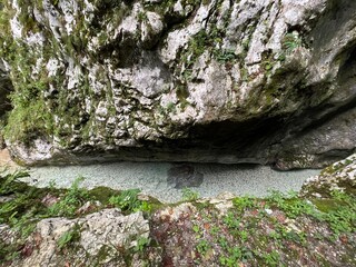 Tolmin Gorges (Triglav National Park, Slovenia) - Tolminer Klammen (Nationalpark Triglav, Slowenien) - Tolminska korita (Triglavski narodni park, Slovenija)
