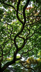 Obraz premium Intricate branches of a lush tree twist gracefully against a blue sky in a vibrant forest during daytime. Generative AI